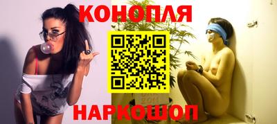 индика Ирбит