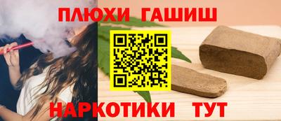 индика Ирбит