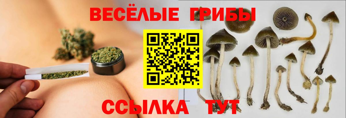 Нижневартовск  Галлюциногенные грибы мухоморы  Псилоцибиновые грибы Cubensis  Вход с VPN 